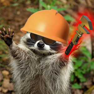 Raccoon engineer art